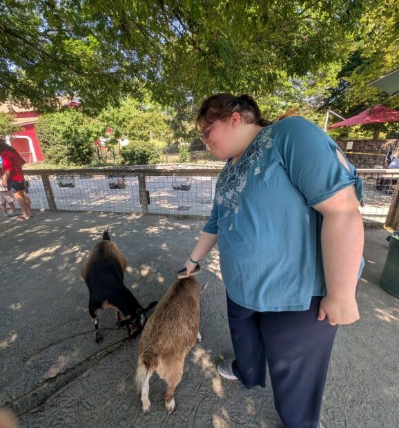 a trip to the zoo brushing a goat (Medium)