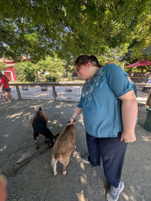 a trip to the zoo brushing a goat (Medium)